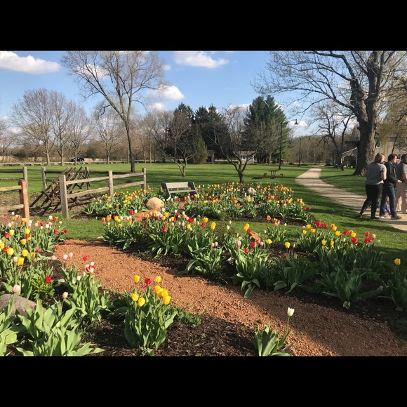 Meet your Posher, Cristina - Picture 1 of 3